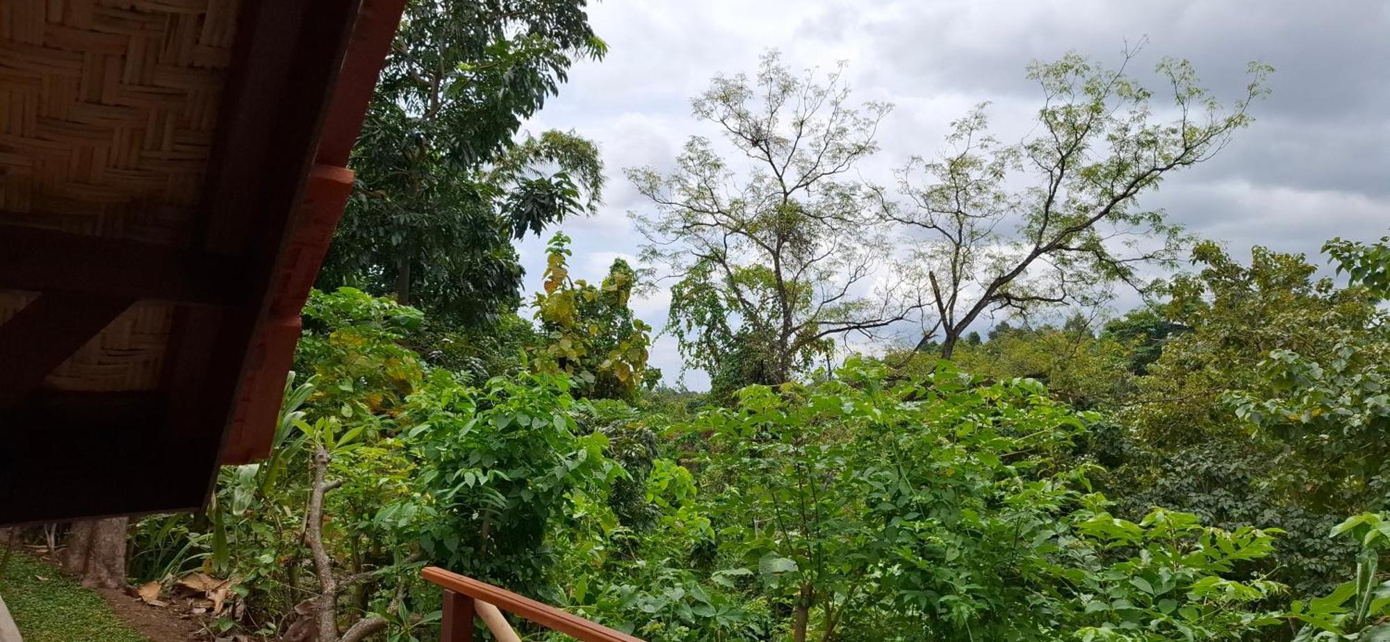Uma Nirmala Aling-Aling Singaraja Exterior foto
